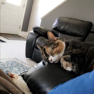 Meet your Posher, Madison